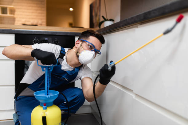 Best Local Pest Control Services  in Eastover, NC