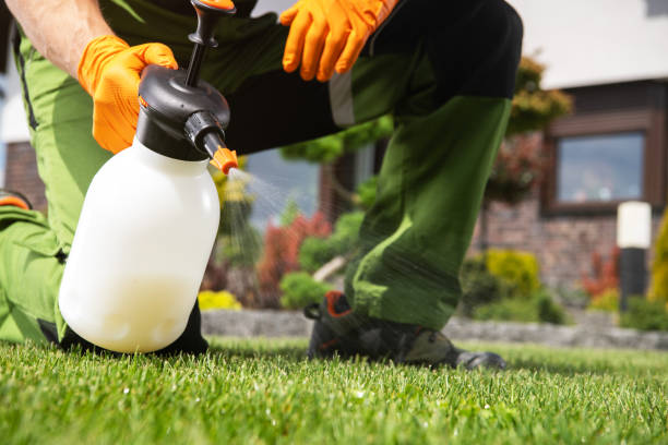 Best Wasp Removal Services  in Eastover, NC