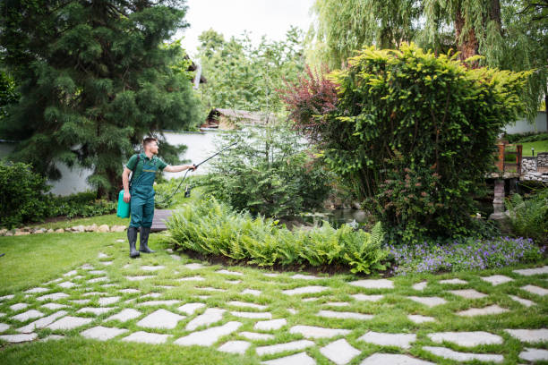 Best Affordable Pest Control Services  in Eastover, NC