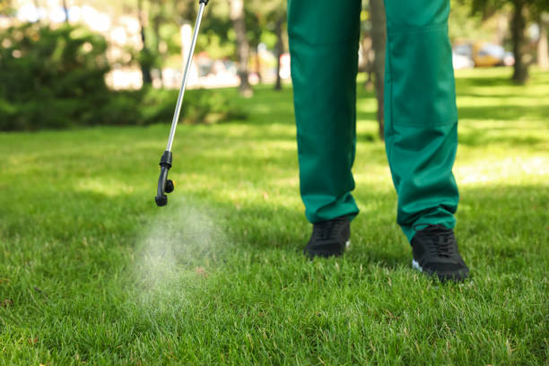 Best Termite Control Services  in Eastover, NC
