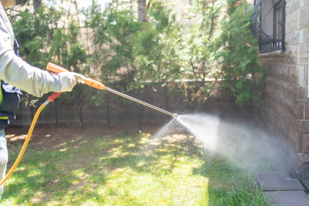 Best Termite Control Services  in Eastover, NC