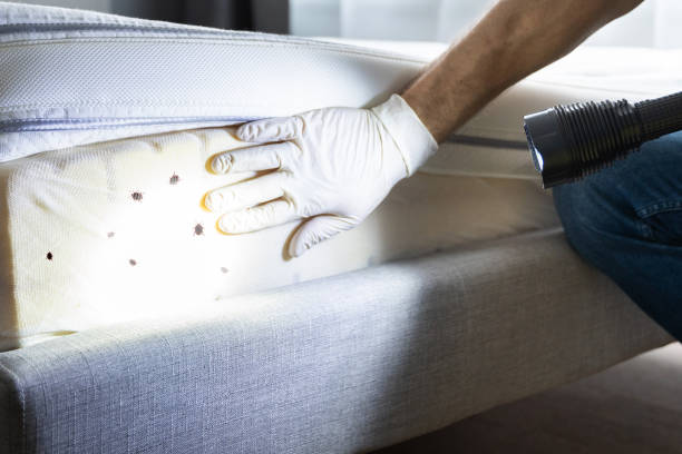 Best Wildlife Control Services  in Eastover, NC