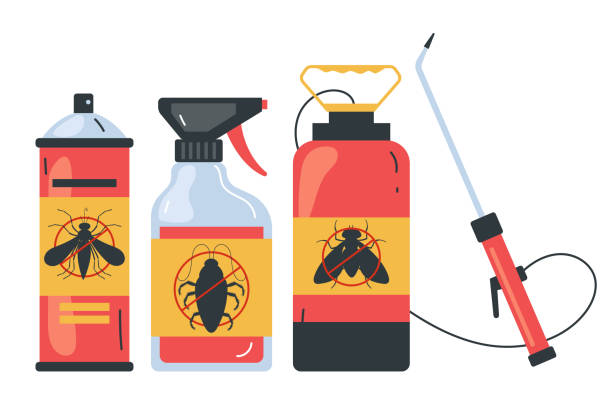Best Insect Control  in Eastover, NC