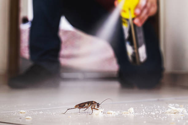 Best Pest Removal Services  in Eastover, NC
