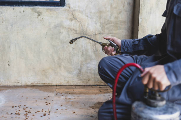 Best Pest Control Near Me  in Eastover, NC